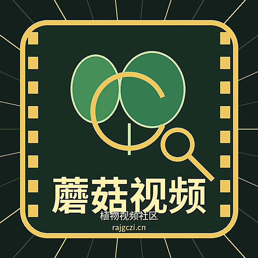 蘑菇视频